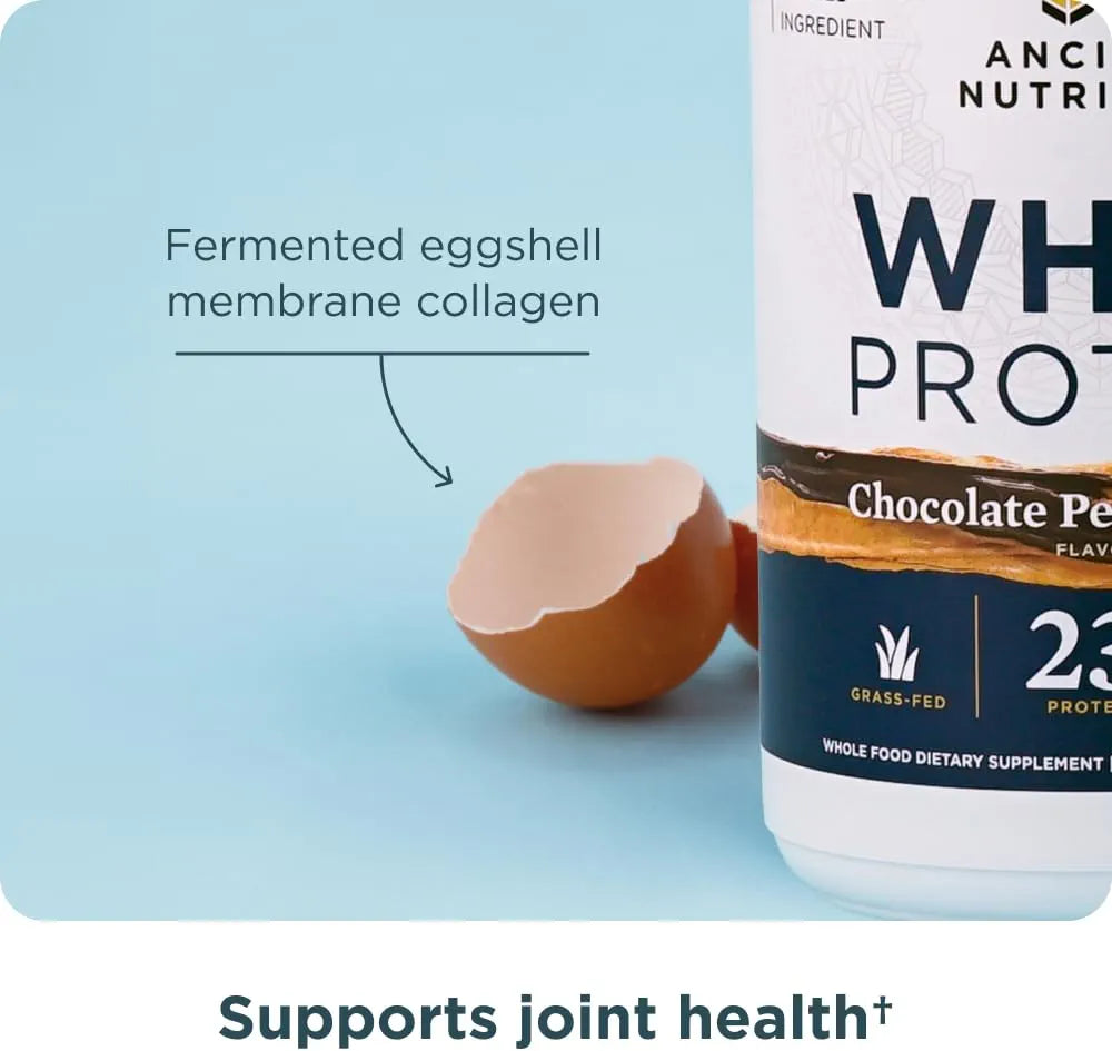 Ancient Nutrition Grass-fed Whey Protein Powder, Chocolate Peanut Butter, 18 Servings + Grass-fed Whey Protein Powder, Milk Chocolate, 20 Servings