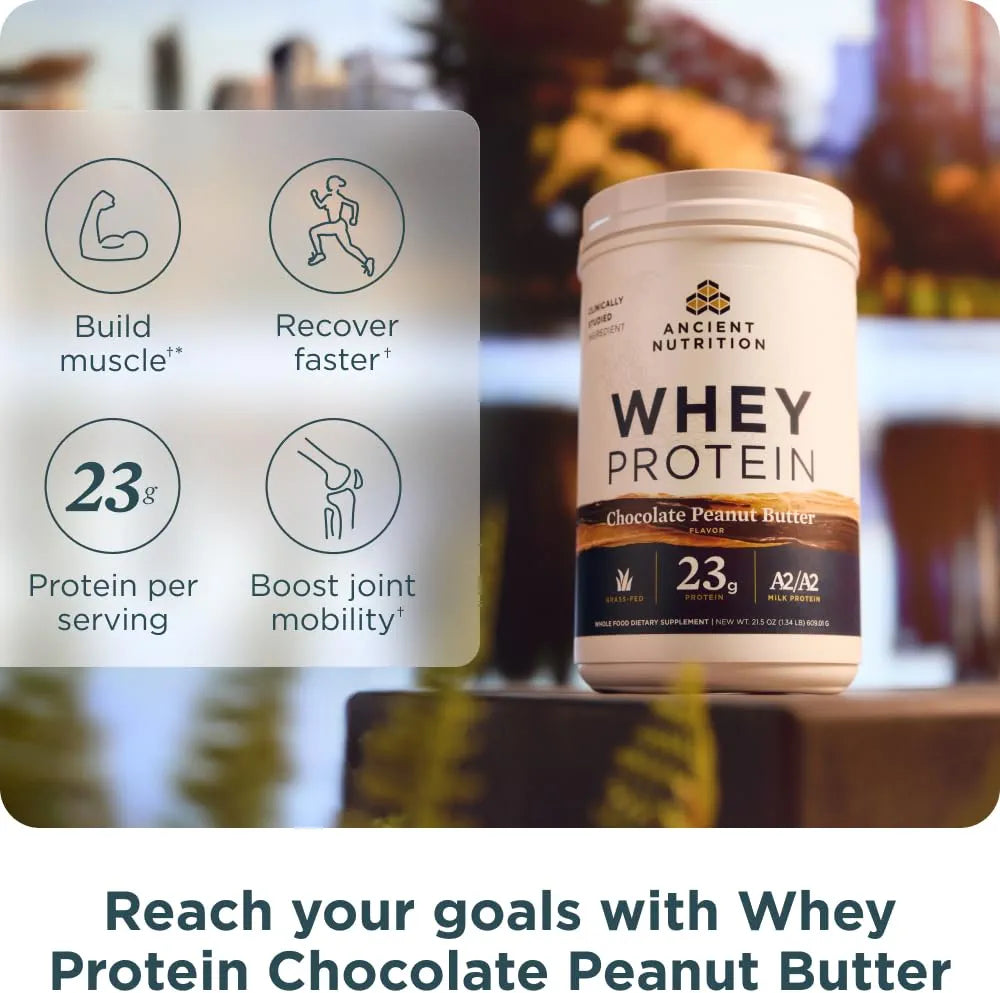 Ancient Nutrition Grass-fed Whey Protein Powder, Chocolate Peanut Butter, 18 Servings + Grass-fed Whey Protein Powder, Milk Chocolate, 20 Servings