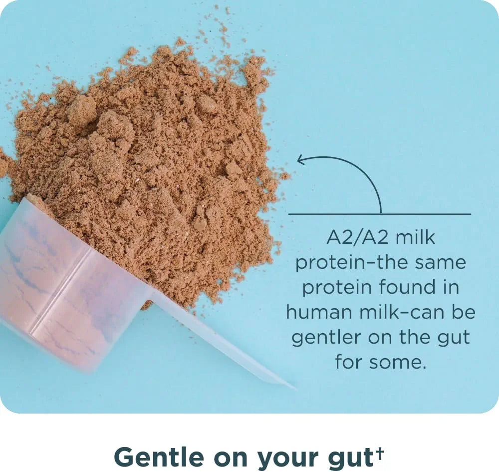 Ancient Nutrition Grass-fed Whey Protein Powder, Chocolate Peanut Butter, 18 Servings + Grass-fed Whey Protein Powder, Milk Chocolate, 20 Servings