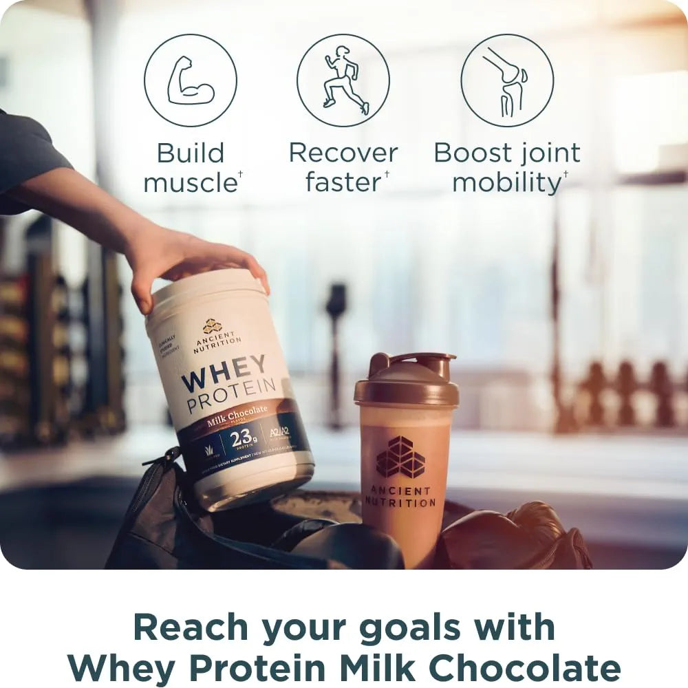 Ancient Nutrition Grass-fed Whey Protein Powder, Chocolate Peanut Butter, 18 Servings + Grass-fed Whey Protein Powder, Milk Chocolate, 20 Servings