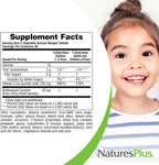 NaturesPlus Animal Parade Vitamin C Children's Chewable - Natural Orange Juice Flavor - 90 Animal-Shaped Tablets - Vegan, Vegetarian, Gluten Free - 45 Servings