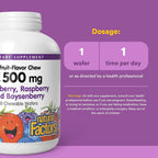Natural Factors, Kids Chewable Vitamin C 500 mg, Supports Immune Health, Bones, Teeth and Gums, Blueberry, Raspberry and Boysenberry, 90 Count 