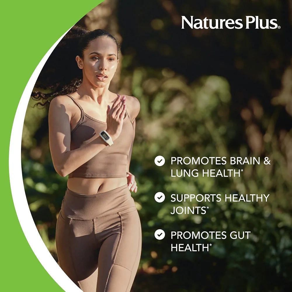 NaturesPlus PRO Berberine 750 mg - 60 Capsules - Supports Healthy Metabolism - Non-GMO, Vegan & Gluten Free - 30 Servings
