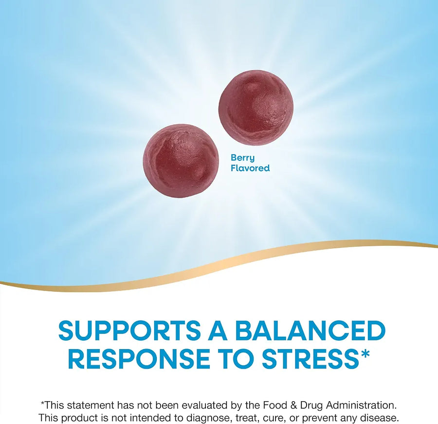 Nature's Way Ashwagandha Stress Relief Gummies, Berry, 90 Count