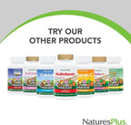 Nature's Plus Animal Parade Sugar-Free Children's Calcium Supplement - Vanilla Sundae Flavour - 90 Chewable Animal Shaped Tablets – Whole Foods - Gluten Free - 45 Servings