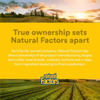 Natural Factors 3 Brains, Higher Thoughts, Support for Cognitive Health and Brain Function, Daily Dietary Supplement, 90 Softgels