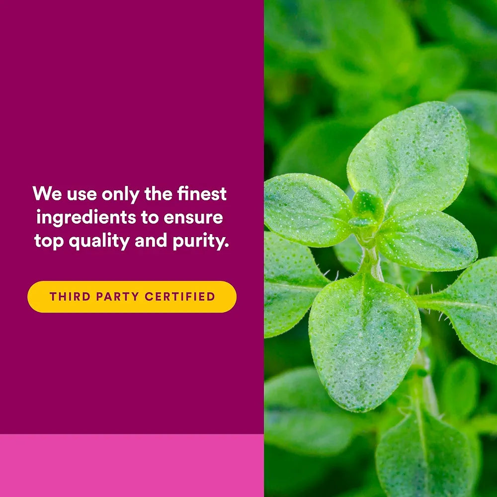 Natural Factors, Oil of Oregano 180 mg, Helps Maintain Good Health with Extra Virgin Olive Oil, 30 softgels 