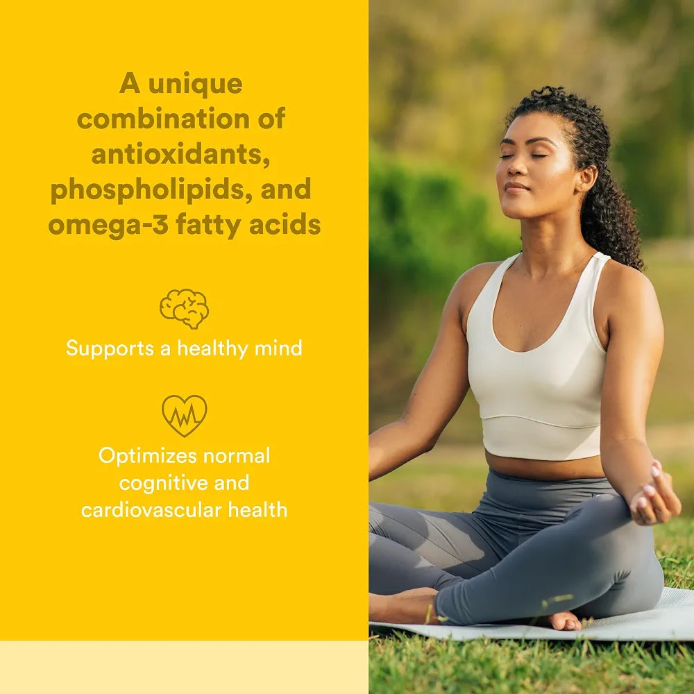 Natural Factors 3 Brains, Higher Thoughts, Support for Cognitive Health and Brain Function, Daily Dietary Supplement, 90 Softgels