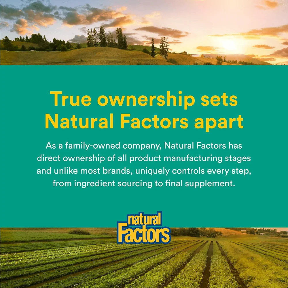 Natural Factors Whole Earth & SEA Men's Once A Day MULTIVITAMIN & Mineral, 60 Vegetarian Capsules