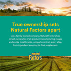 Natural Factors Whole Earth & SEA Men's 50+ Once A Day MULTIVITAMIN & Mineral, 60 Vegetarian Capsules