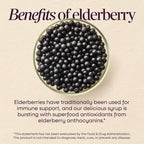 Nature's Way Sambucus Kids Immune Elderberry Syrup, Black Elderberry Extract with Echinacea & Propolis, Traditional Immune Support for Children with Superfood Antioxidants, Berry Flavored, 4 Fl Oz