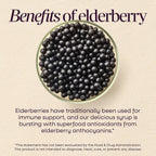 Nature's Way Sambucus Organic Traditional Elderberry Syrup, 4 Fl Oz