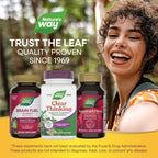 Nature's Way Clear Thinking Cognitive Performance*, Ashwagandha, Reduces Stress and Supports Cognitive Performance*, 40 Capsules