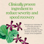 Nature's Way Umcka Allergy & Sinus Relief Chewables, Cherry, 20 ct
