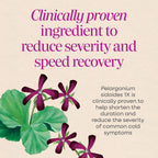 Nature's Way Umcka Cold & Flu Relief FastActives, Homeopathic, Berry, 10 pk
