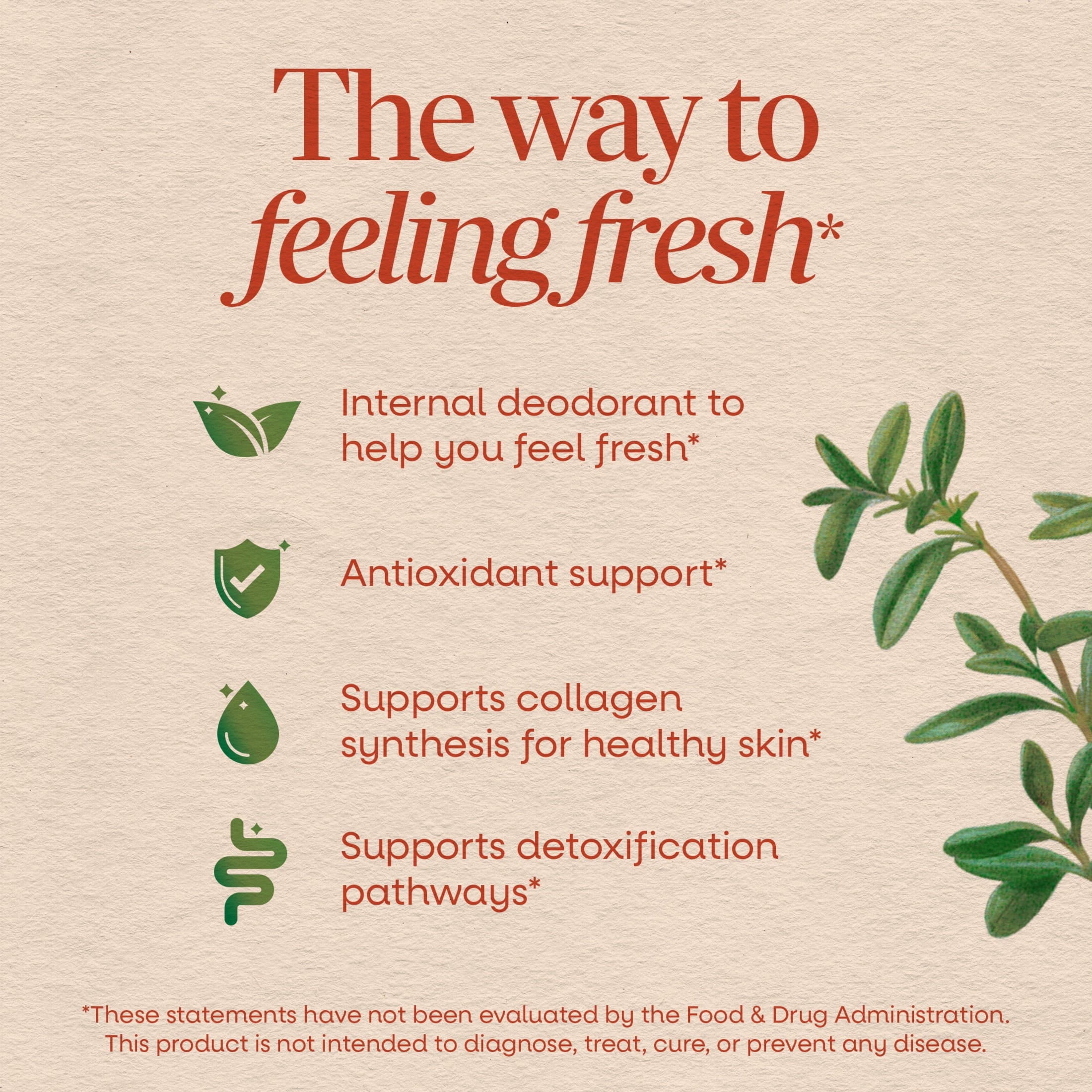 Nature’s Way Chlorofresh Chlorophyll Concentrate Softgels, Internal Deodorant*, 90 Count