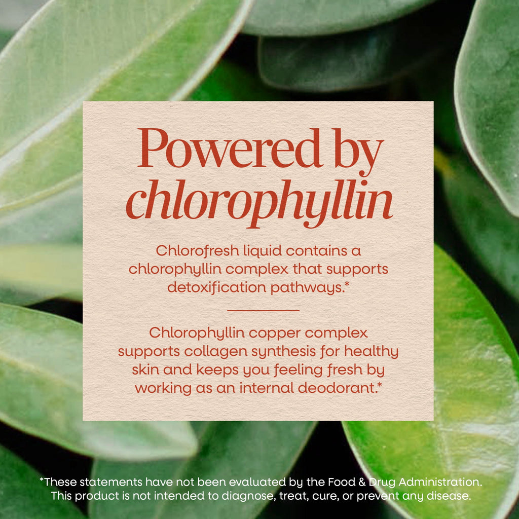 Nature’s Way Chlorofresh Liquid Chlorophyll, Internal Deodorant*, Unisex, Mint Flavored, 16 Fl Oz