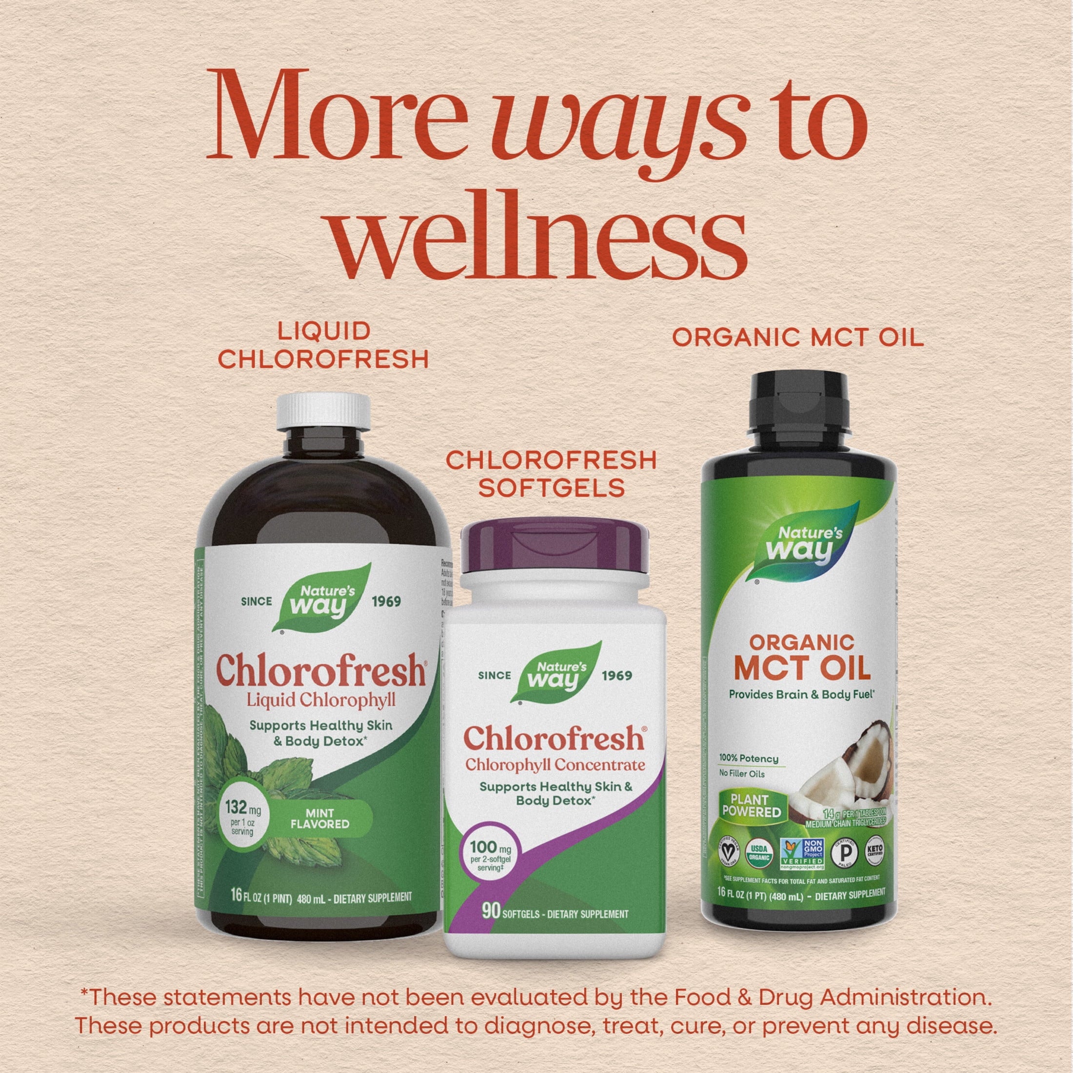 Nature’s Way Chlorofresh Liquid Chlorophyll, Internal Deodorant*, Unisex, Mint Flavored, 16 Fl Oz