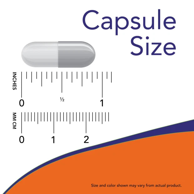 NOW Foods L-Arginine 500 mg 100 Caps Amino Acid 06/2028EXP|276447276038