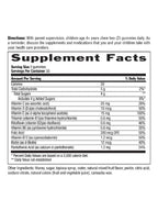Kid’s Multivitamin Honey Gummies, Natural Mixed Fruit Flavor - 60 Gummies